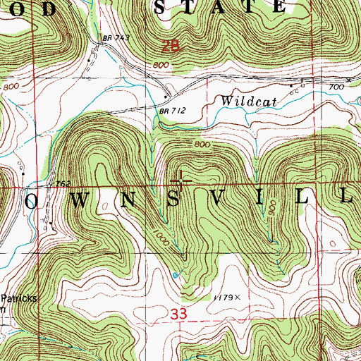 Topographic Map of Township of Brownsville, MN