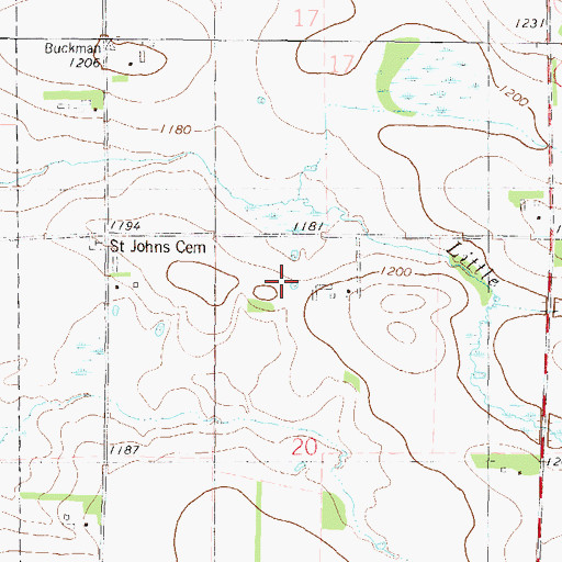 Topographic Map of Township of Buckman, MN