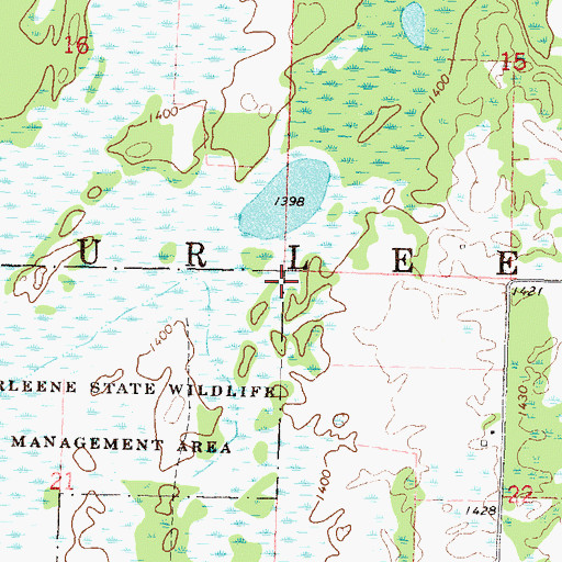 Topographic Map of Township of Burleene, MN