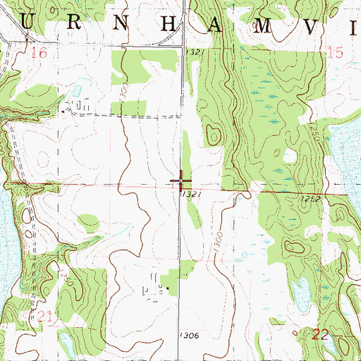 Topographic Map of Township of Burnhamville, MN