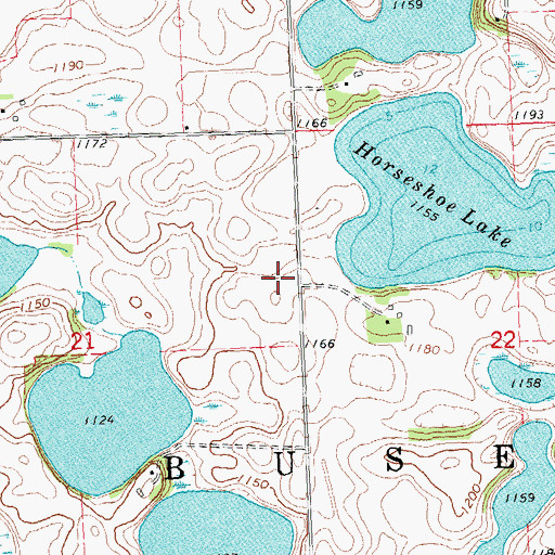 Topographic Map of Township of Buse, MN