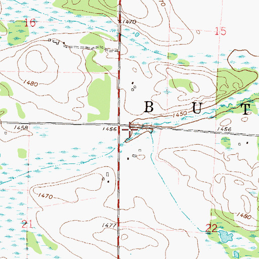 Topographic Map of Township of Butler, MN