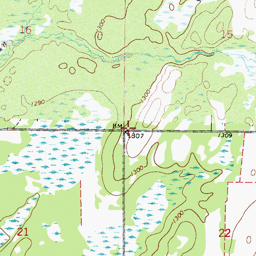 Topographic Map of Township of Byron, MN