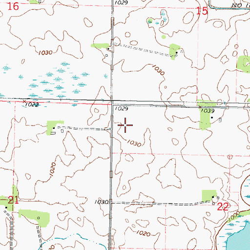 Topographic Map of Township of Cairo, MN