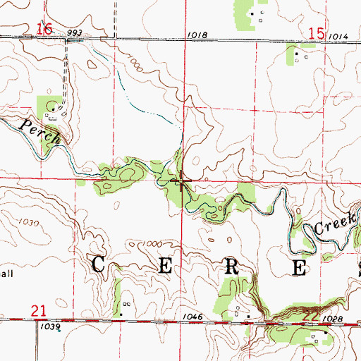 Topographic Map of Township of Ceresco, MN