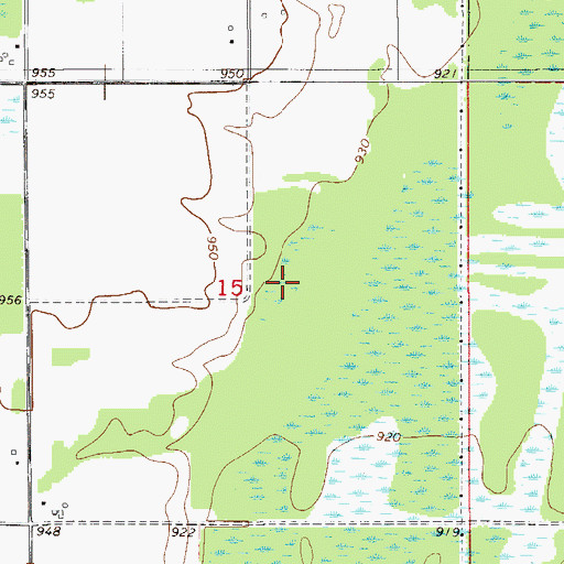 Topographic Map of Township of Chengwatana, MN