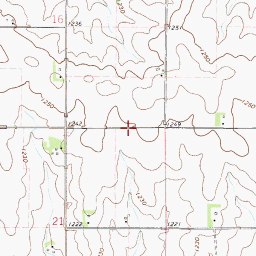 Topographic Map of Township of Cherry Grove, MN