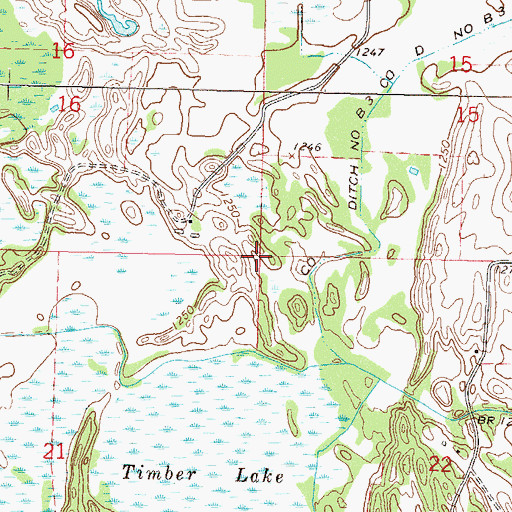 Topographic Map of Township of Colfax, MN