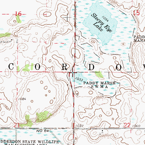 Topographic Map of Township of Cordova, MN