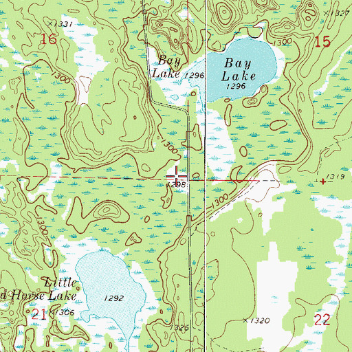 Topographic Map of Township of Cornish, MN