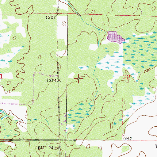 Topographic Map of Township of Crow Wing, MN