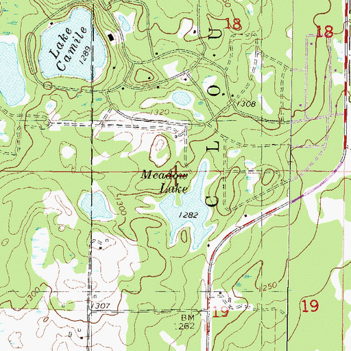 Topographic Map of Township of Cushing, MN