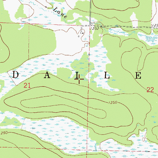 Topographic Map of Township of Dailey, MN