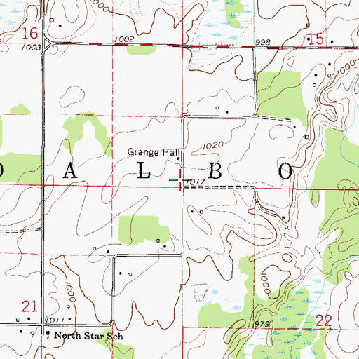Topographic Map of Township of Dalbo, MN