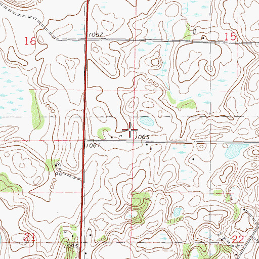 Topographic Map of Township of Dassel, MN
