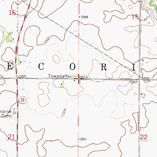 Topographic Map of Township of Decoria, MN