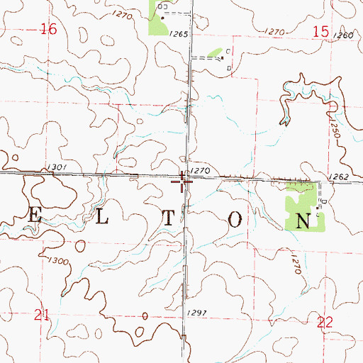 Topographic Map of Township of Delton, MN