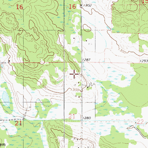 Topographic Map of Township of Eagle, MN