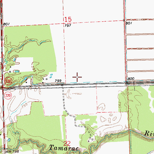 Topographic Map of Township of Eagle Point, MN
