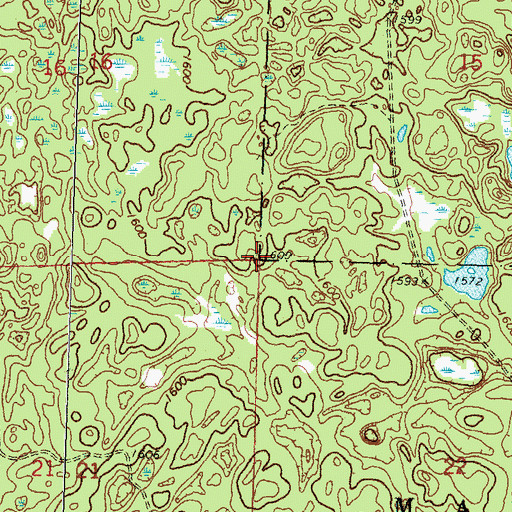 Topographic Map of Township of Eagle View, MN