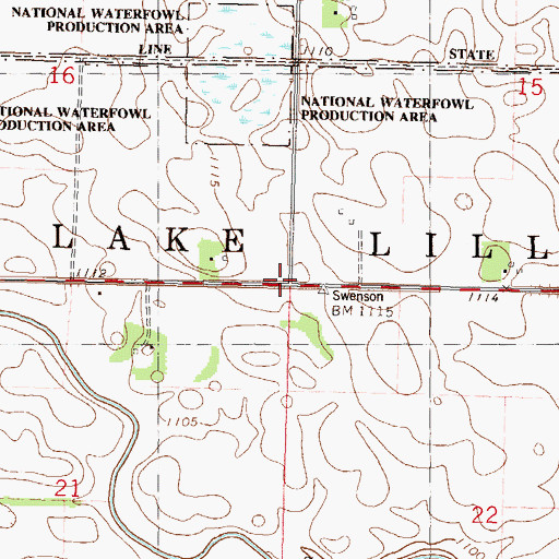 Topographic Map of Township of East Lake Lillian, MN