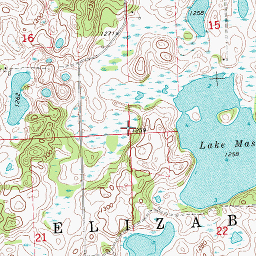 Topographic Map of Township of Elizabeth, MN