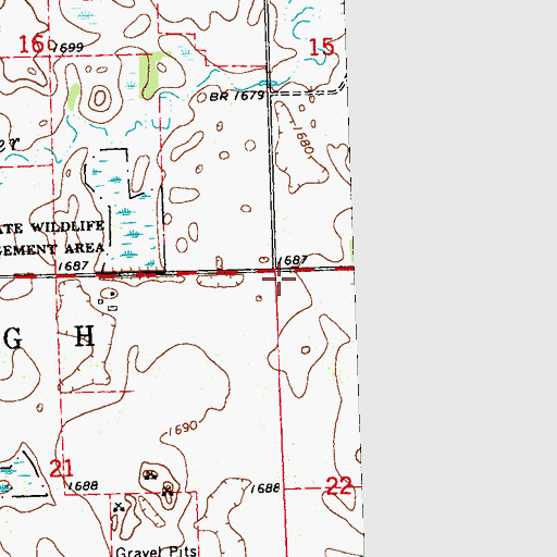 Topographic Map of Township of Ellsborough, MN