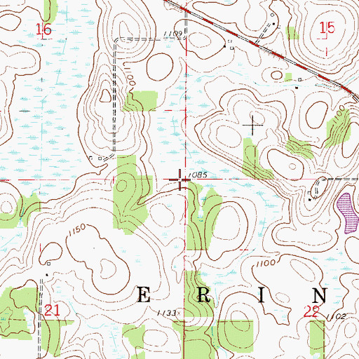 Topographic Map of Township of Erin, MN