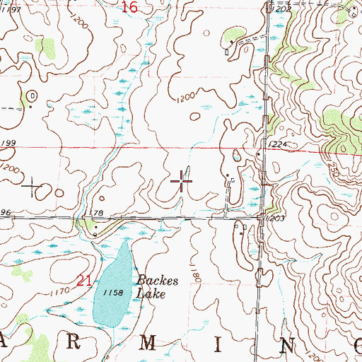 Topographic Map of Township of Farming, MN