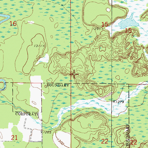 Topographic Map of Township of Feeley, MN