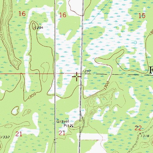 Topographic Map of Township of Fine Lakes, MN