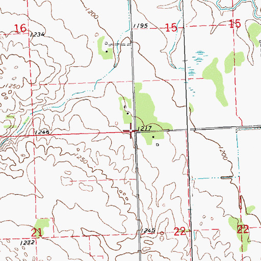 Topographic Map of Township of Flom, MN