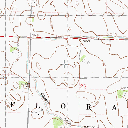 Topographic Map of Township of Flora, MN