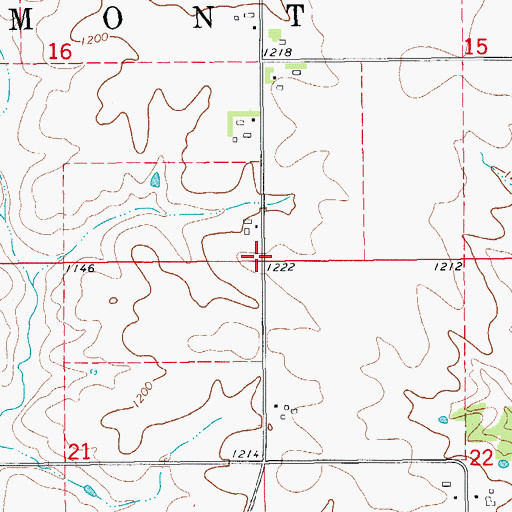 Topographic Map of Township of Fremont, MN