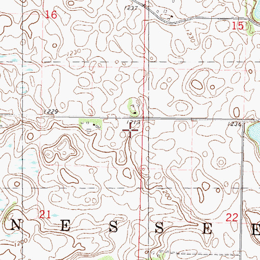 Topographic Map of Township of Gennessee, MN