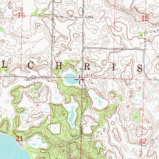 Topographic Map of Township of Gilchrist, MN