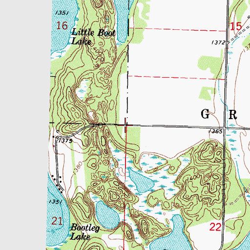 Topographic Map of Township of Grant Valley, MN