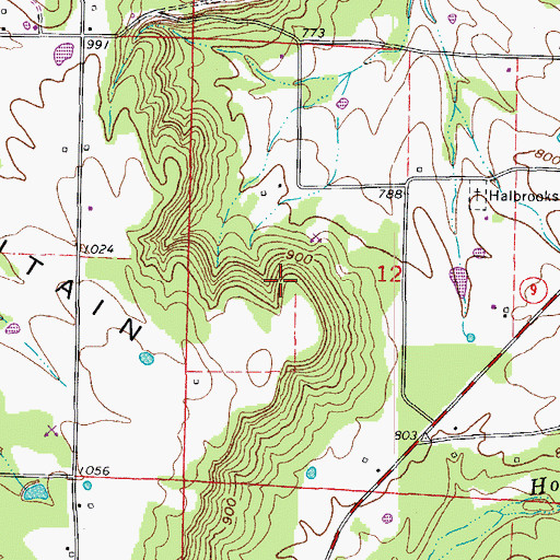 Topographic Map of Township of Austin, AR
