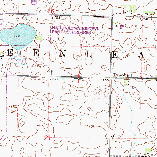 Topographic Map of Township of Greenleaf, MN
