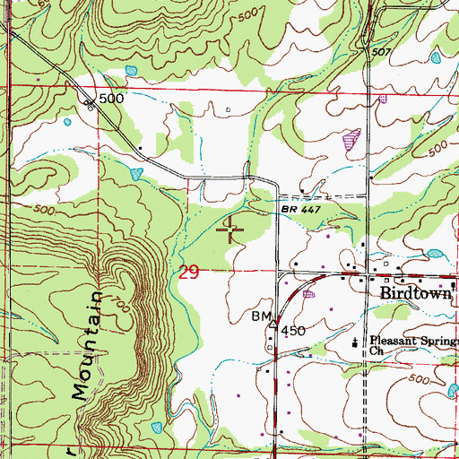Topographic Map of Township of Bird, AR