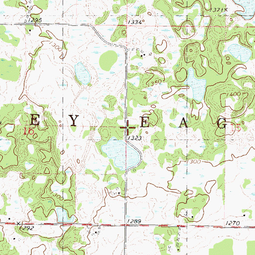Topographic Map of Township of Grey Eagle, MN