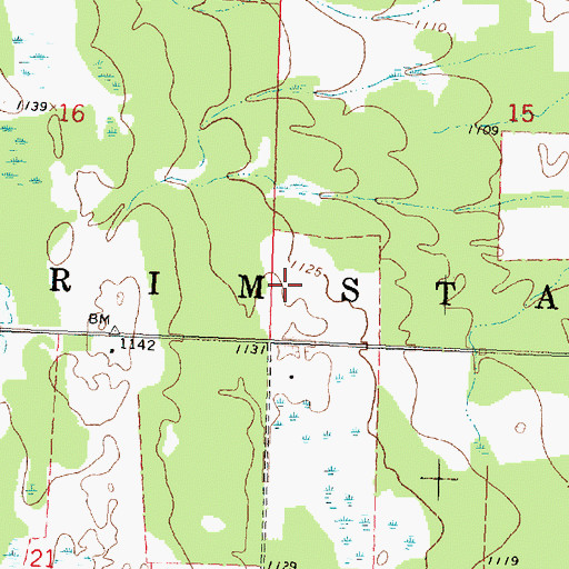 Topographic Map of Township of Grimstad, MN