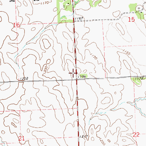 Topographic Map of Township of Hammer, MN