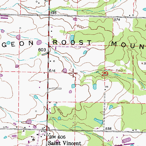 Topographic Map of Township of Saint Vincent, AR