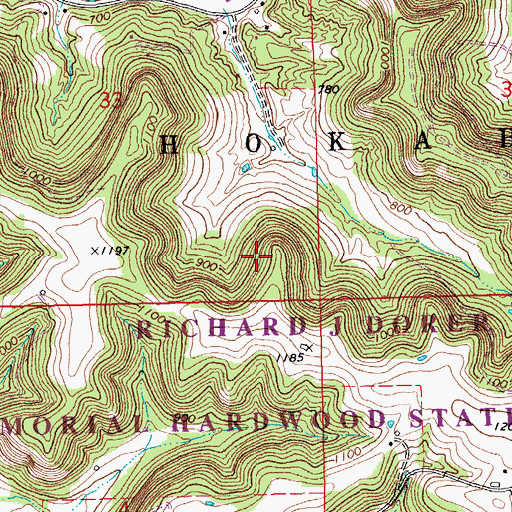 Topographic Map of Township of Hokah, MN