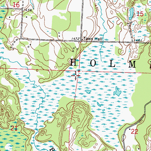 Topographic Map of Township of Holmesville, MN
