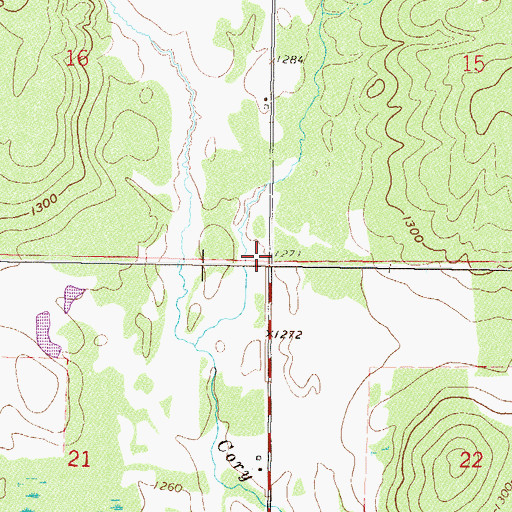 Topographic Map of Township of Home Brook, MN