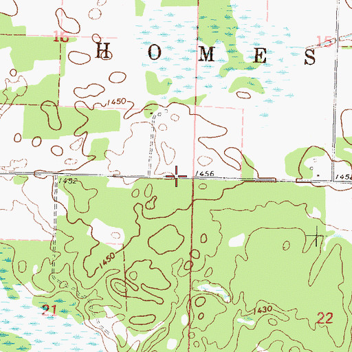 Topographic Map of Township of Homestead, MN