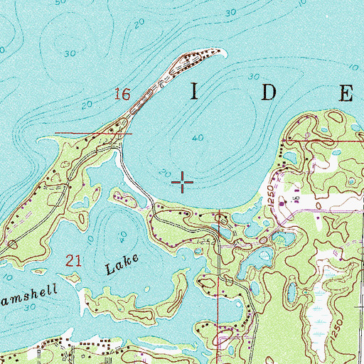 Topographic Map of Township of Ideal, MN