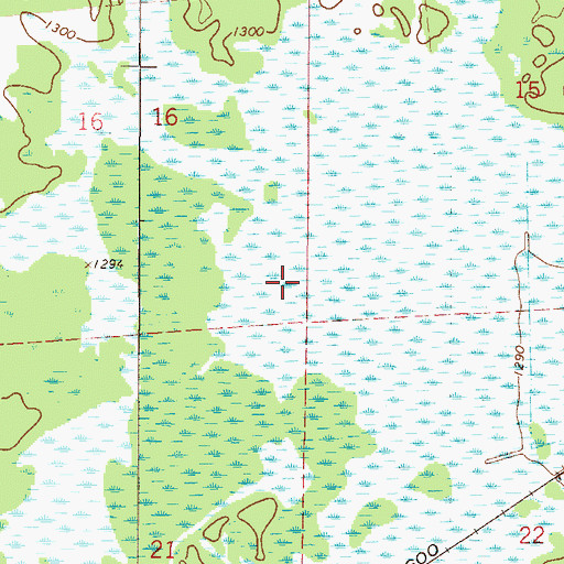 Topographic Map of Township of Idun, MN
